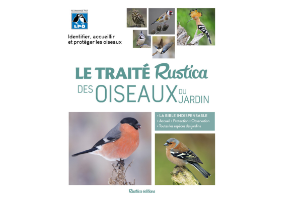 Le traité Rustica des oiseaux