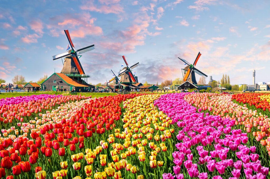 Keukenhof, festival de couleurs inoubliable !