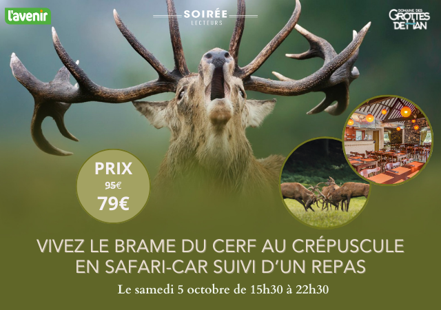 Soirée exclusive : Brame du cerf au crépuscule et repas au Domaine des Grottes de Han