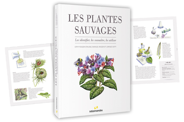 Les plantes sauvages